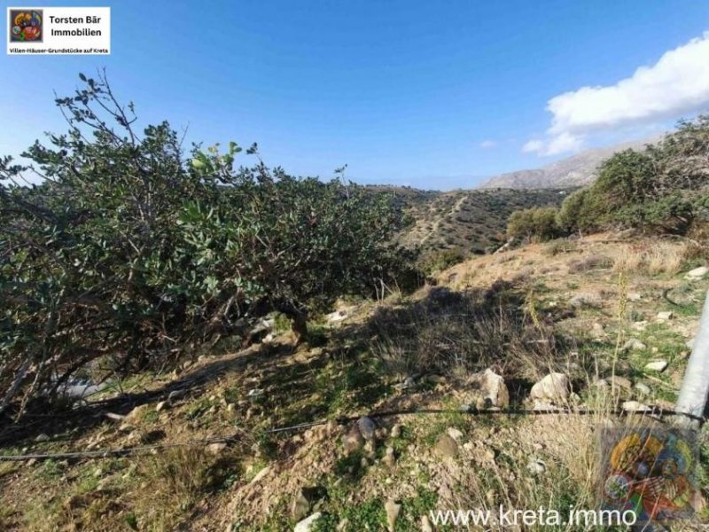 Agia Galini Süd Kreta, Agia Galini 5.000 m² mit Meerblick Grundstück kaufen